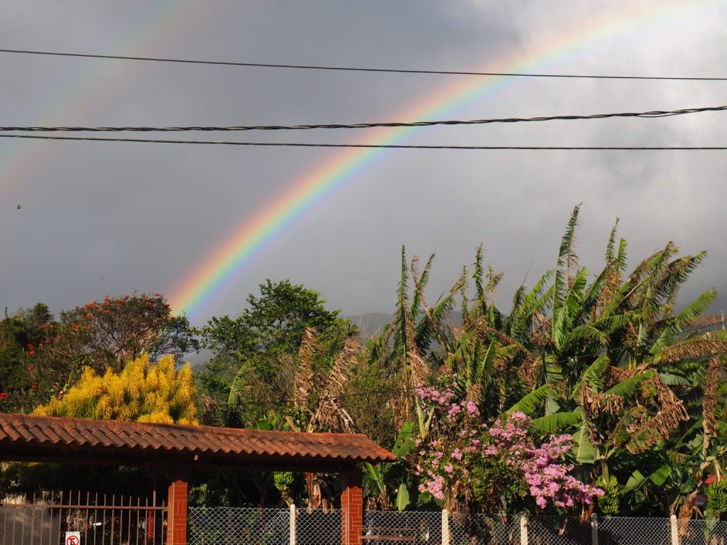 Colorful flower beds and garden displays at the Boquete Flower Fair in January