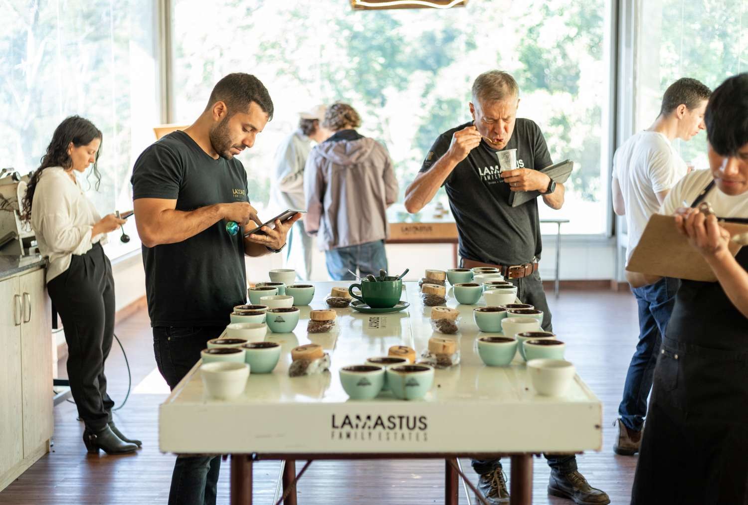 Professional coffee cupping and tasting session with cupping bowls and spoons