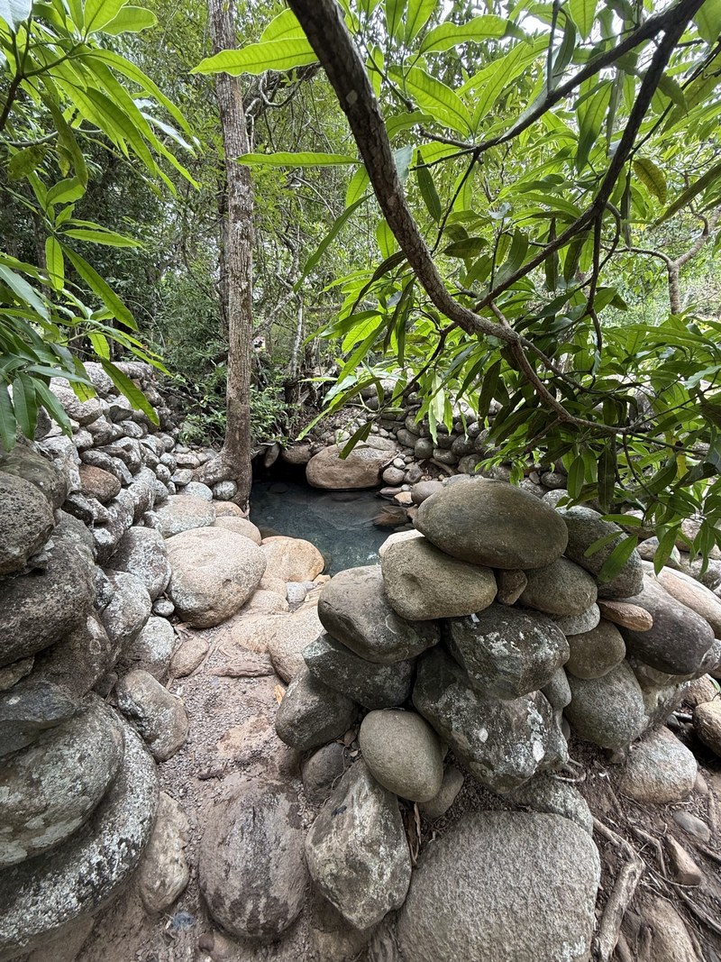 Lush tropical jungle vegetation surrounding the hot springs pools in Caldera Chiriqui