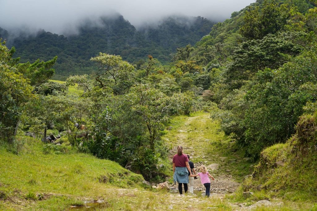 Hikers walking past highland pastures toward the cloud forest on El Pianista trail