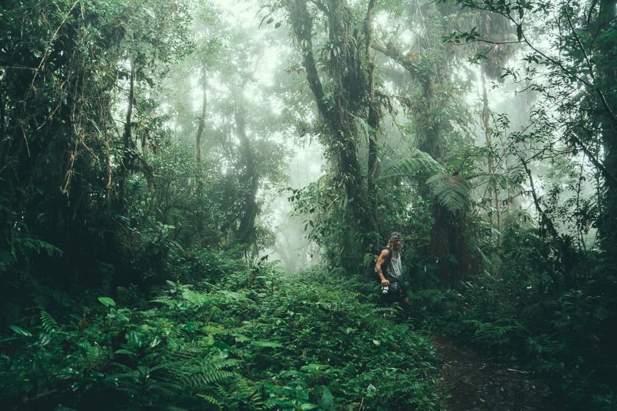 Hikers navigating the lush green sunken clay trench on El Pianista Trail in Boquete