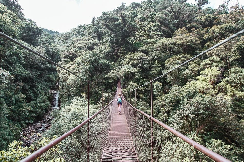 Suspension hanging bridge stretching through lush tree canopy in Boquete