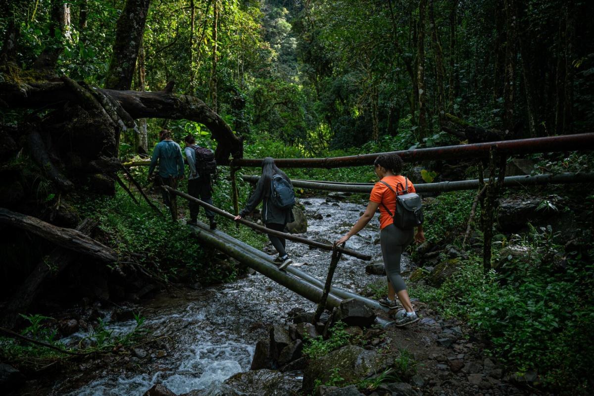 Hikers crossing a rustic suspension bridge over a rushing river in the Bajo Mono cloud forest