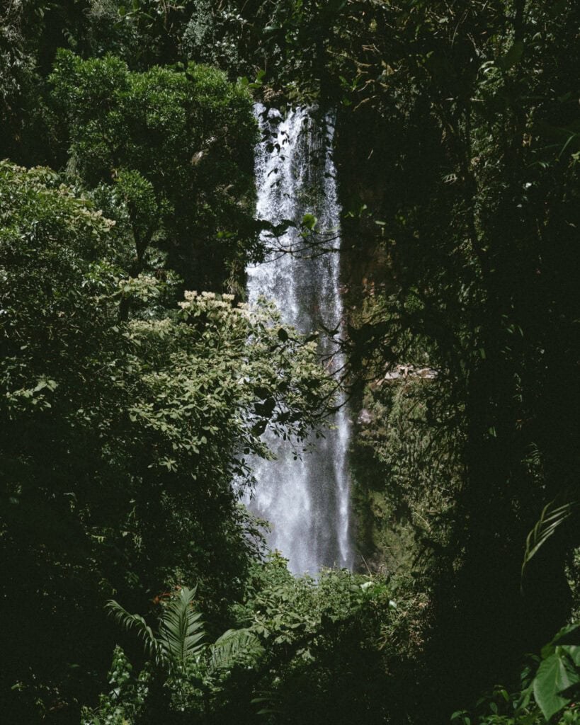 First waterfall on The Lost Waterfalls trail cascading down a sheer jungle cliff in Boquete