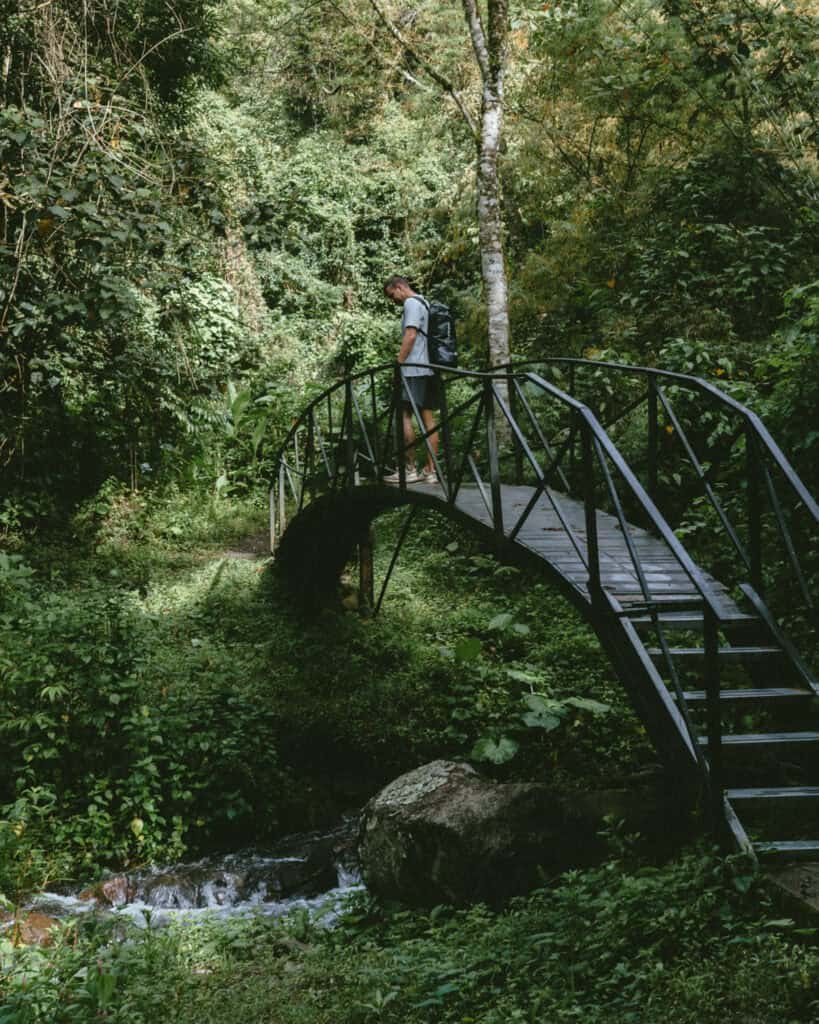Hiker on a small arched wooden bridge crossing a highland stream on The Pipeline Trail