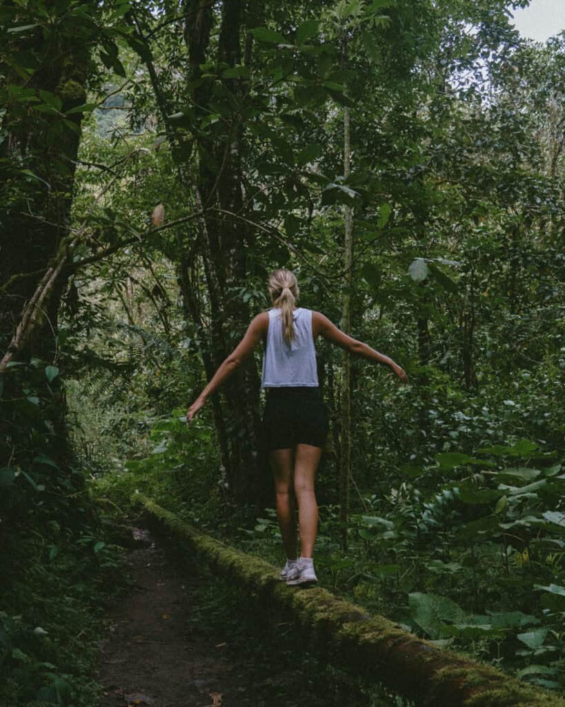 Hiker walking beside the moss-covered historic water pipeline in the dense cloud forest