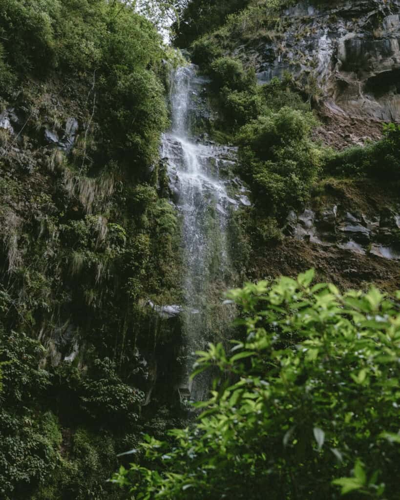 Scenic waterfall cascading down a rocky cliff surrounded by lush greenery on The Pipeline Trail