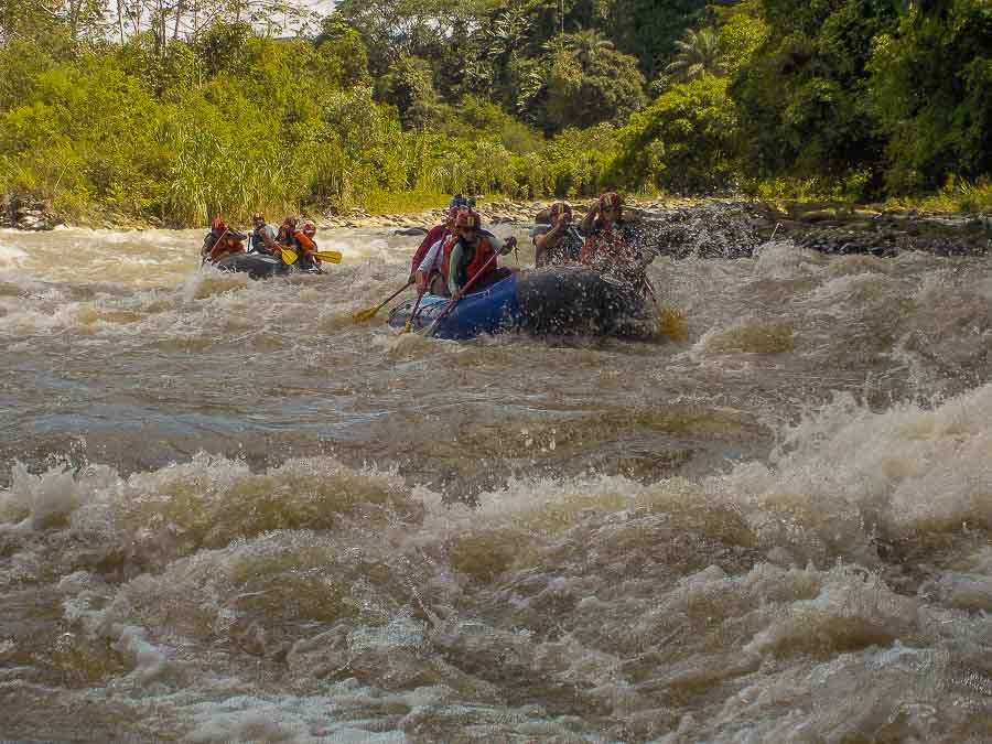 Guided rafting team paddling in unison through a tropical river valley in Chiriqui
