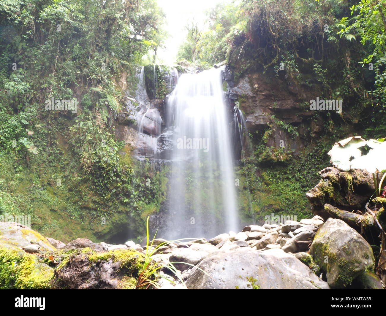 Lush green waterfall cascading into a natural pool surrounded by cloud forest in Boquete