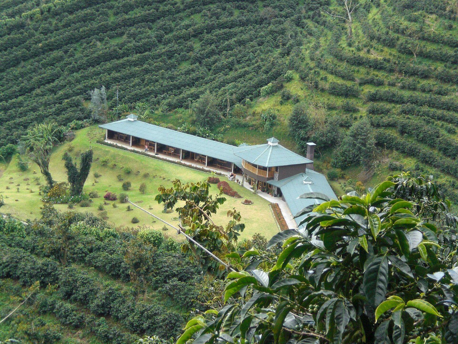 Cultura del café en Boquete